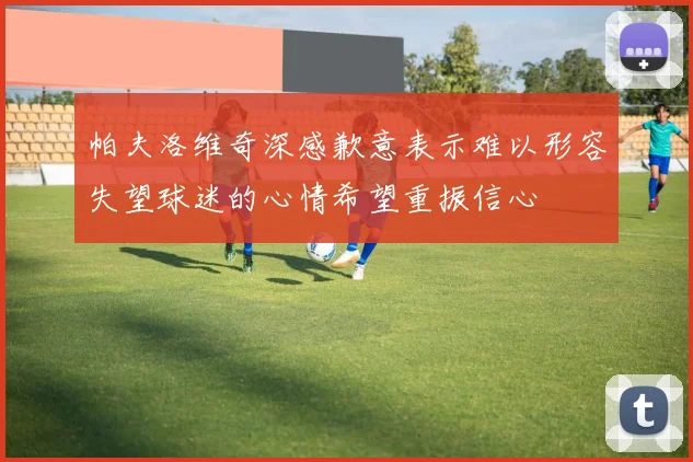 帕夫洛维奇深感歉意表示难以形容失望球迷的心情希望重振信心